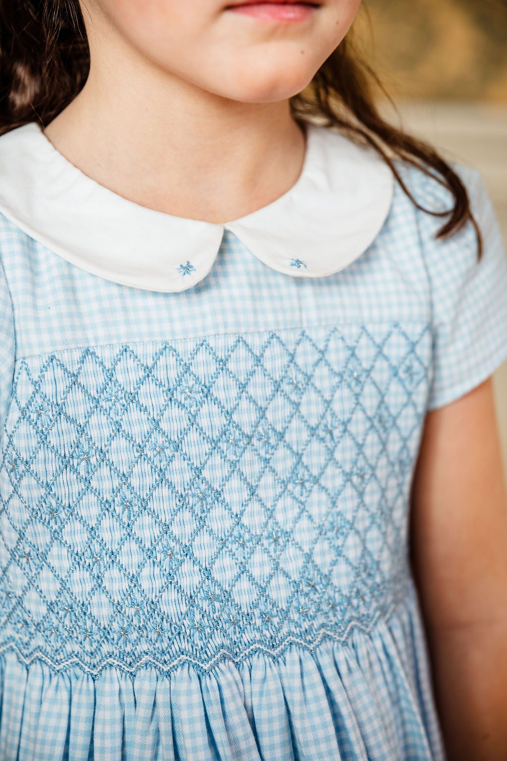 Camille Blue Gingham Flannel Smocked Dress