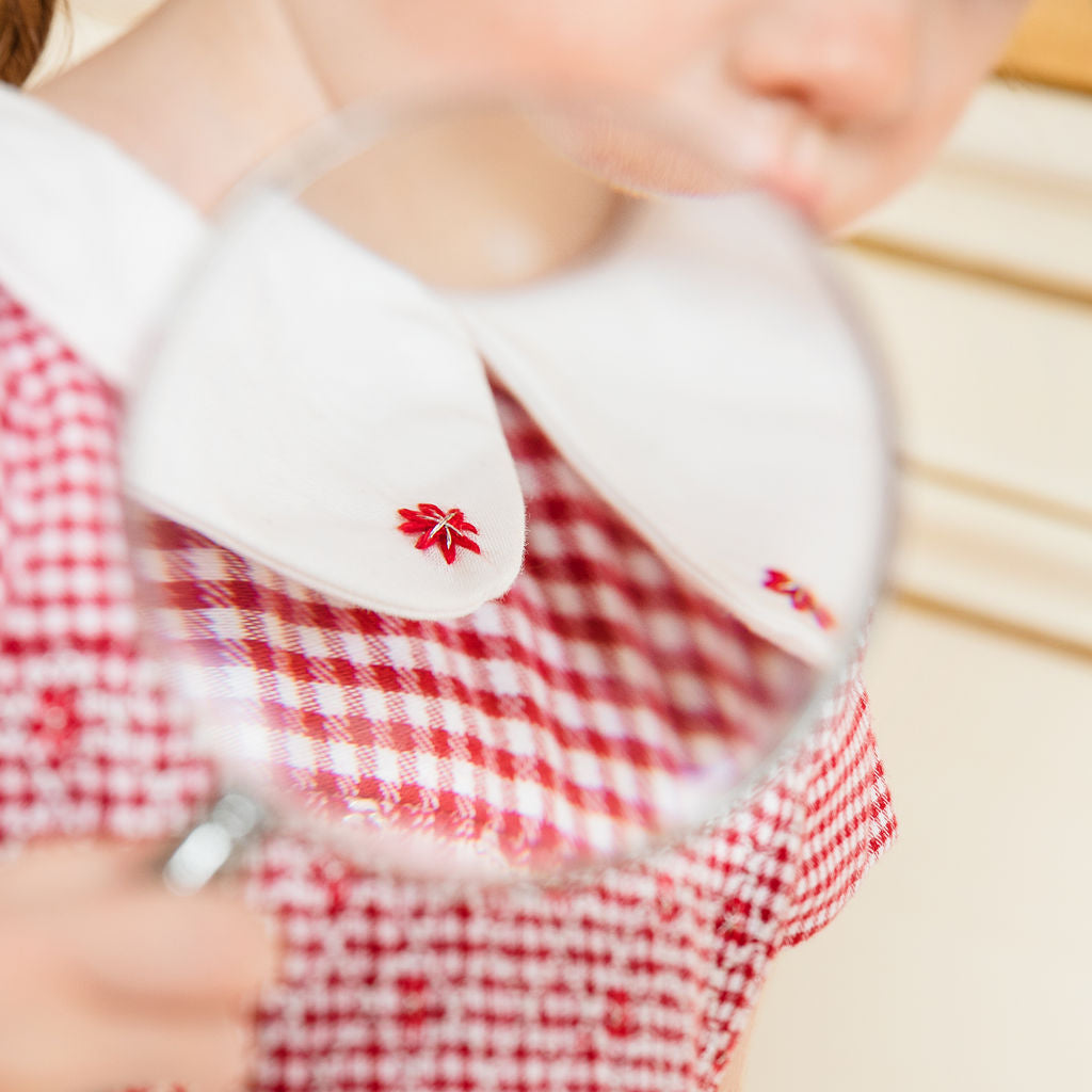 Camille Red Gingham Flannel Smocked Girl Dress